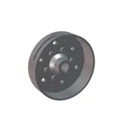 Magnet Assy Flywheel Comp. Pleasure 2015 & 2017 (latest Model)