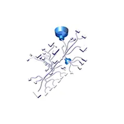 motoheal.com