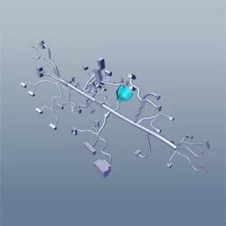 motoheal.com