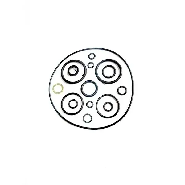 O Ring Kit For Hero