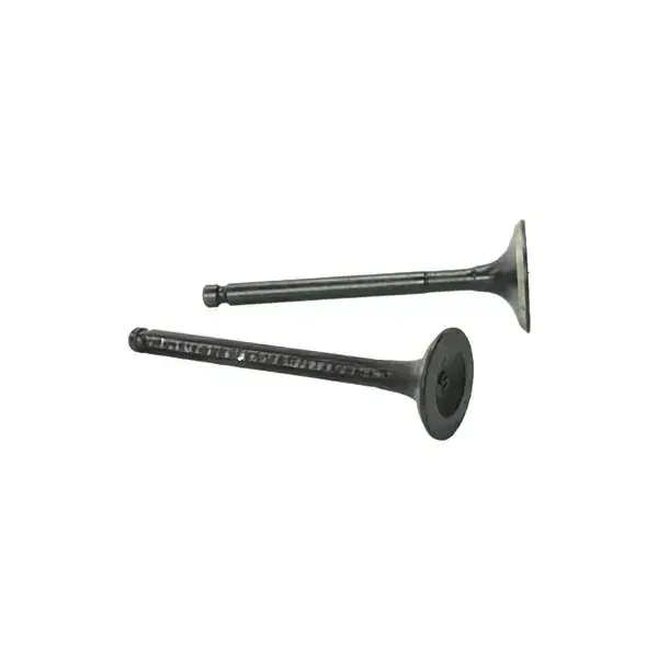 Valve Set For Pep/xl 100