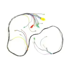 motoheal.com
