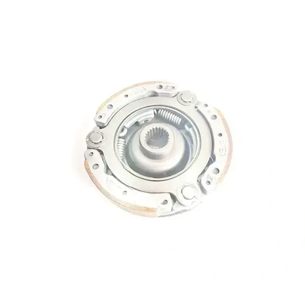 Clutch Assy For Xl 100cc(p)