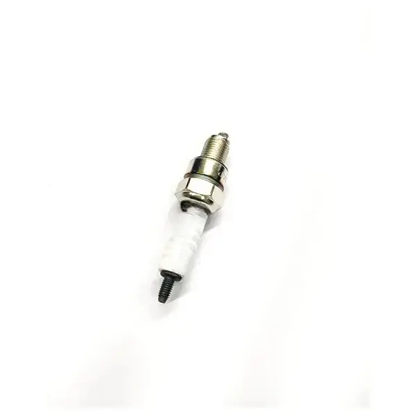 Plug For Fiero/pulsar(cr9e)