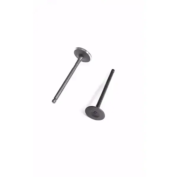 Valve Set For Fz