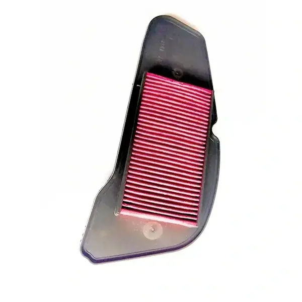 Air Filter For Ray Bs6