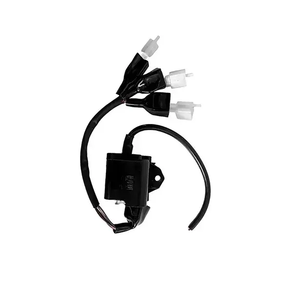 Cdi W/et Coil For Jupiter Bs3(w/w)