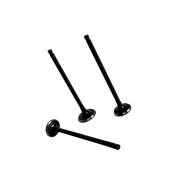 Valve Set For Victor New