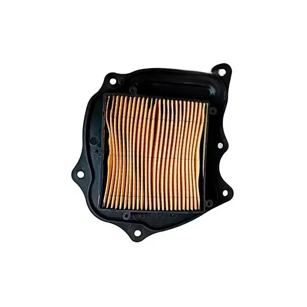 Air Filter For Vikrant