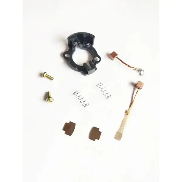 Carbon Brush Kit For Passion Pro Bs6