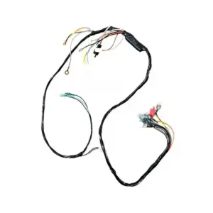 motoheal.com