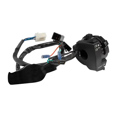 Combination Switch For Hero Passion X-pro Es (lh)