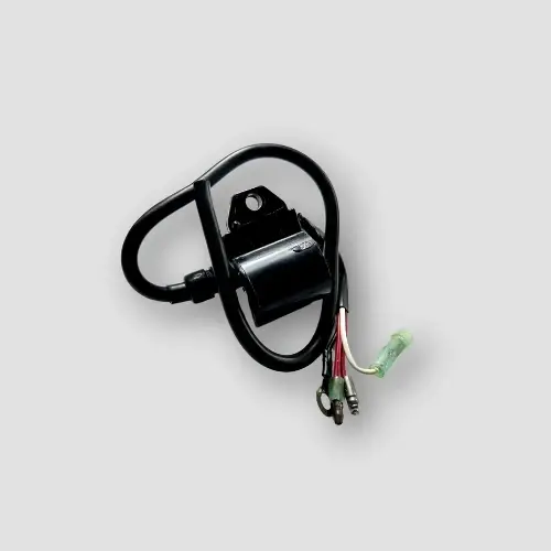 Cdi W/e.t.coil Champ 60/powerport - Image 2
