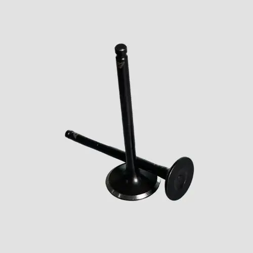 Valve Set Fascino/ray