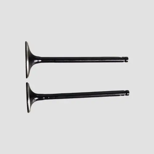 Valve Set Fz N/m
