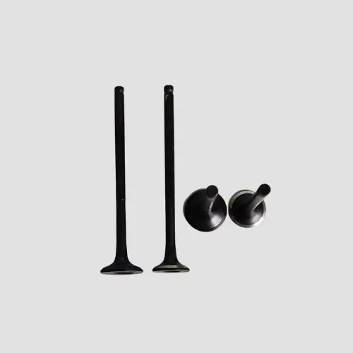 Valve Set R15