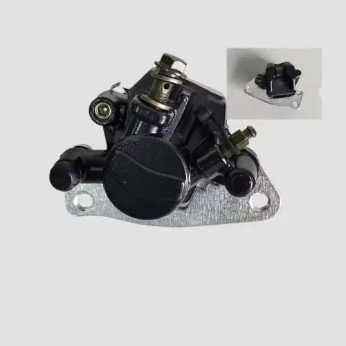 Caliper Assy Ray