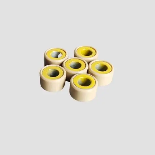 Clutch Roller Set Ray Bs6