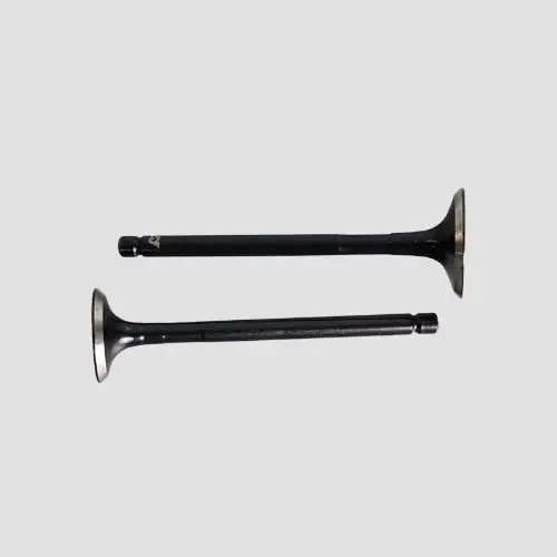 Valve Set Ct100 Es