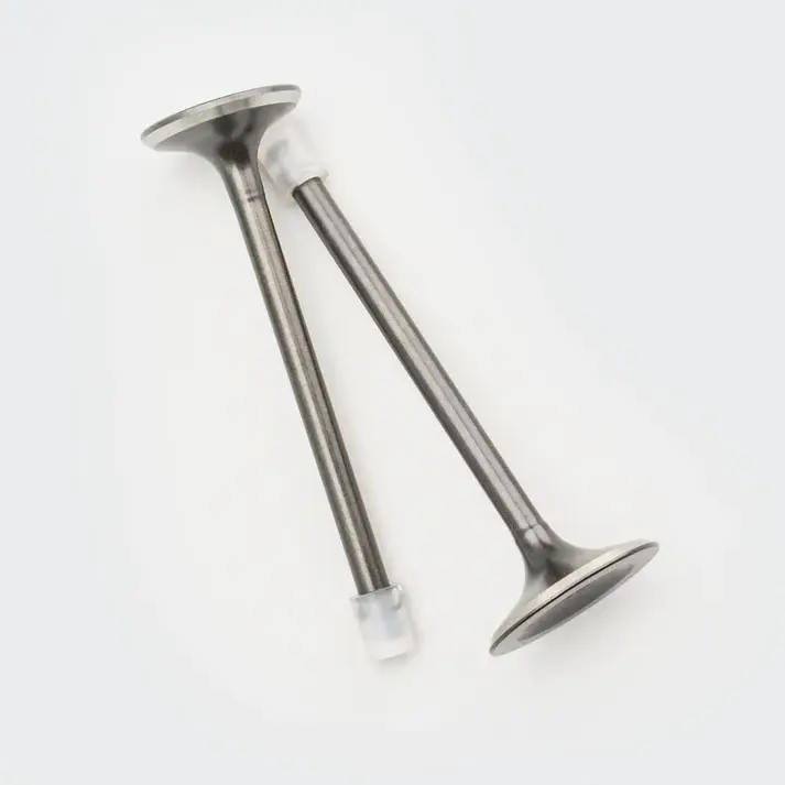 Valve Set Cbz/karizma - Image 2