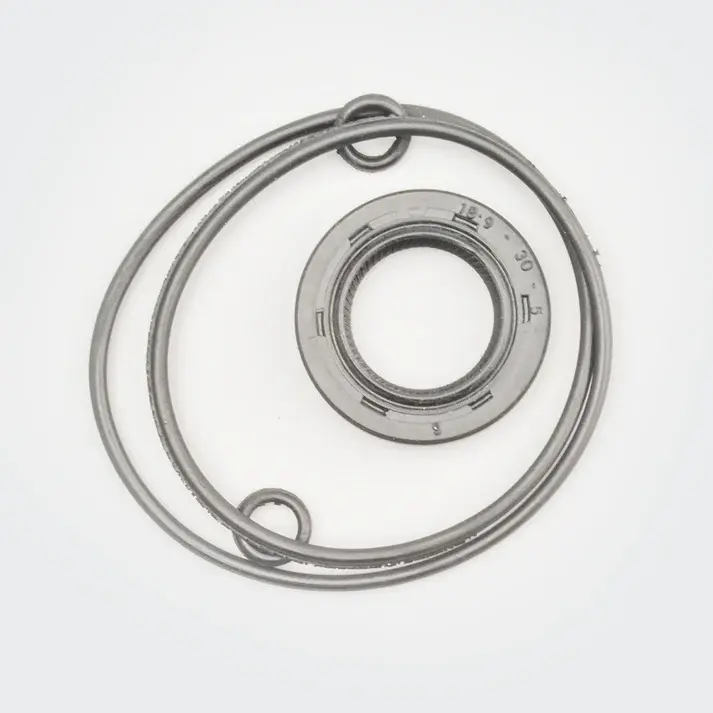 Magnet Oil Seal (w/o-ring Kit) Hh