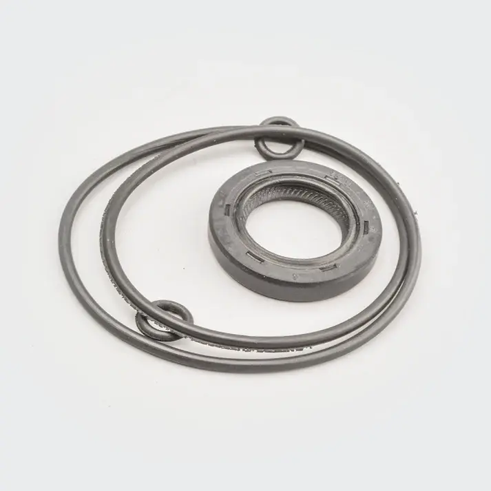 Magnet Oil Seal (w/o-ring Kit) Hh - Image 2