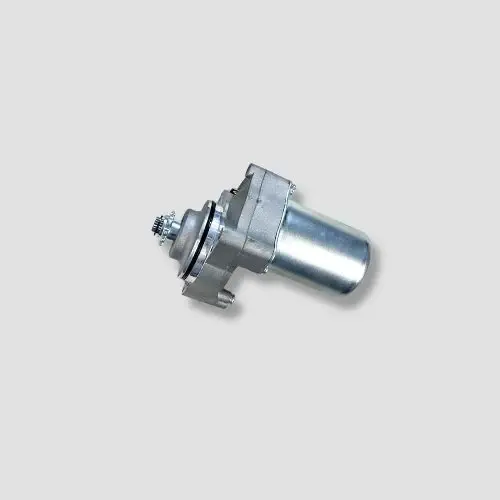 Starter Motor Assy Passion Pro - Image 2