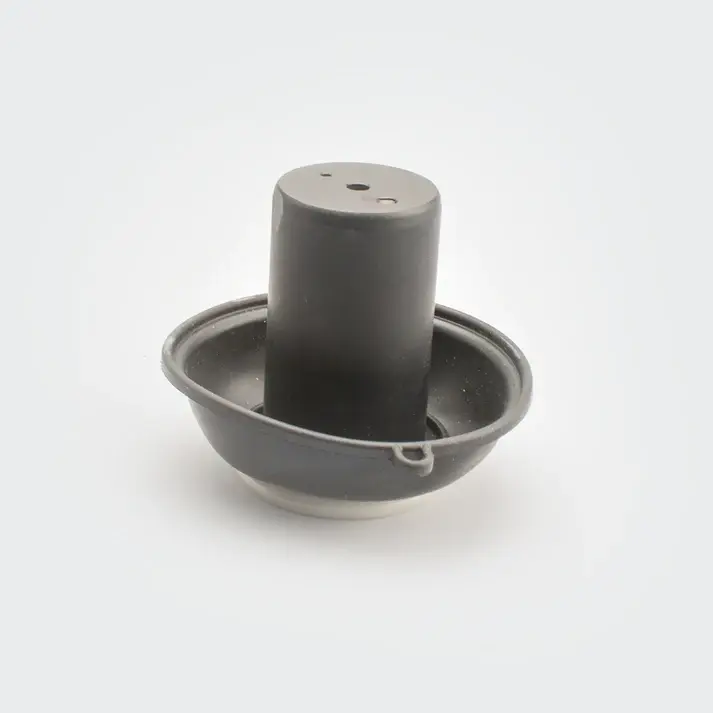 Carb.diaphragm W/piston Karizma
