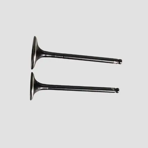 Valve Set Cbz-xtreme