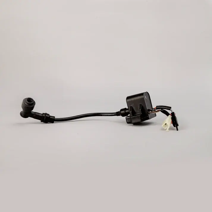 Cdi W/e.t.coil Xl100
