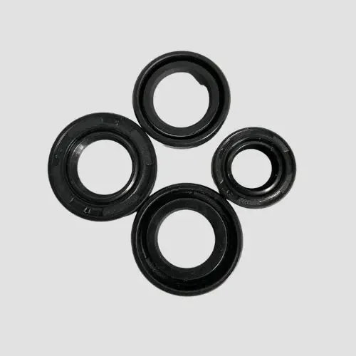 Oil Seal Kit Xl100