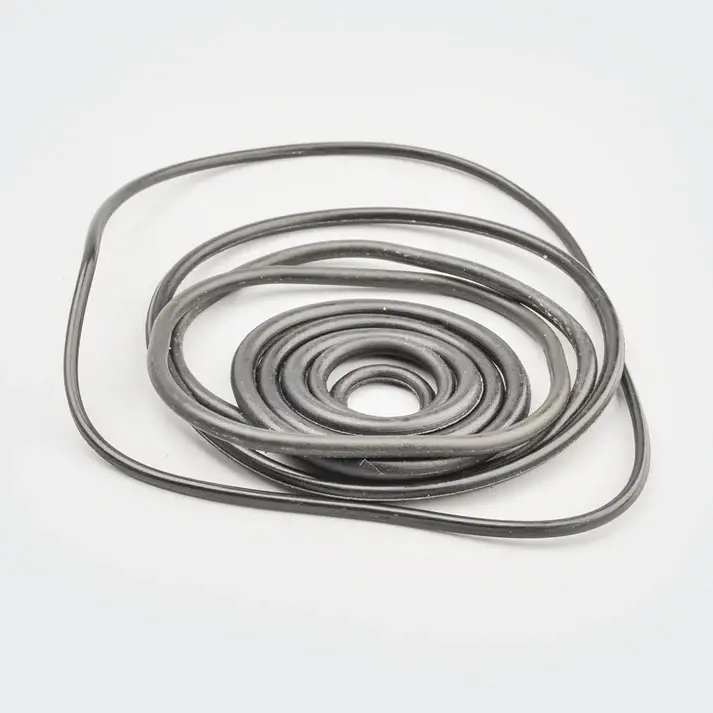 O Ring Kit Victor