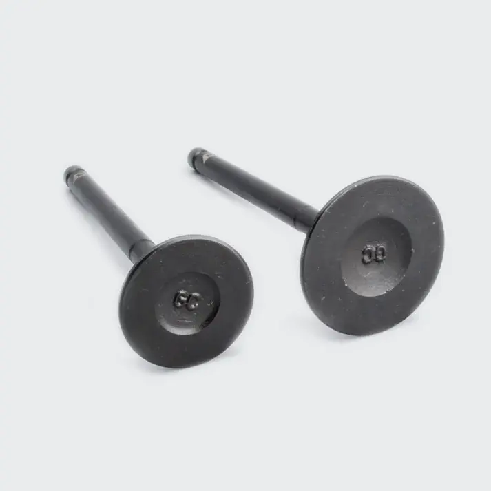 Valve Set Activa/dio/pleasure/maestro/duet