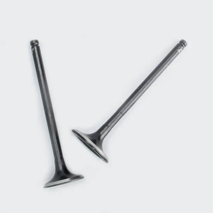 Valve Set Shine/stunner - Image 2