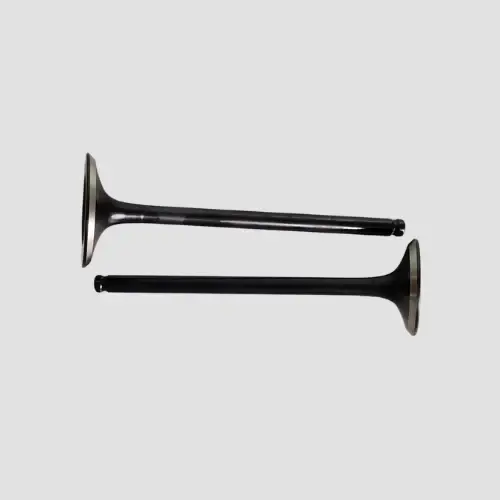 Valve Set Hornet