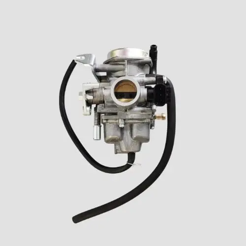 Carburetor. Shine
