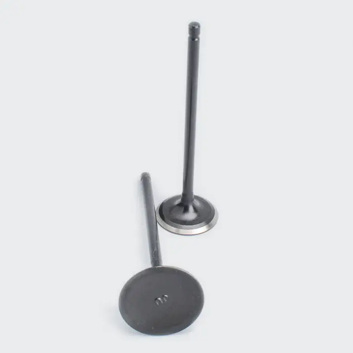Valve Set Pulsar 180 Dtsi