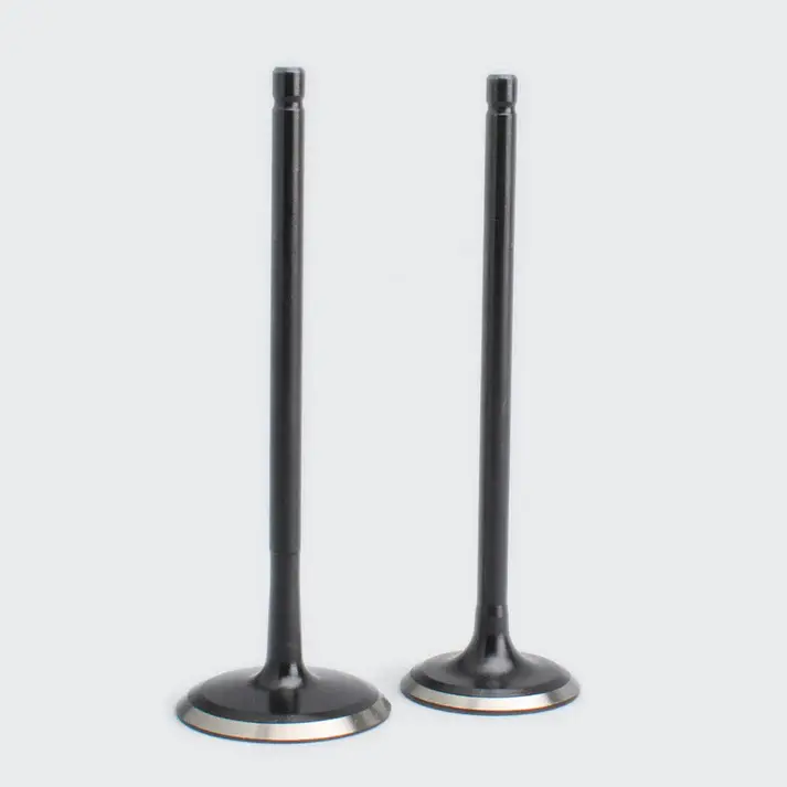 Valve Set Pulsar 180 Dtsi - Image 2