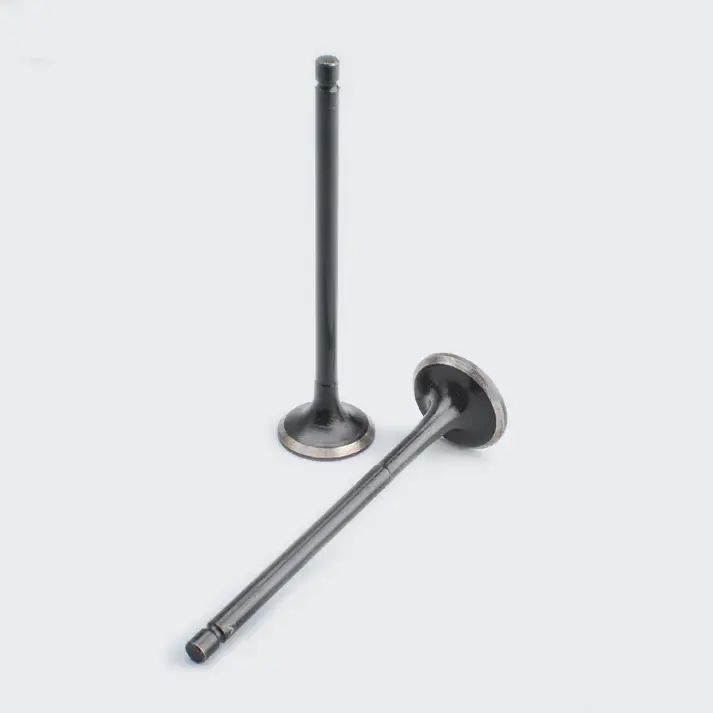 Valve Set Discover 100
