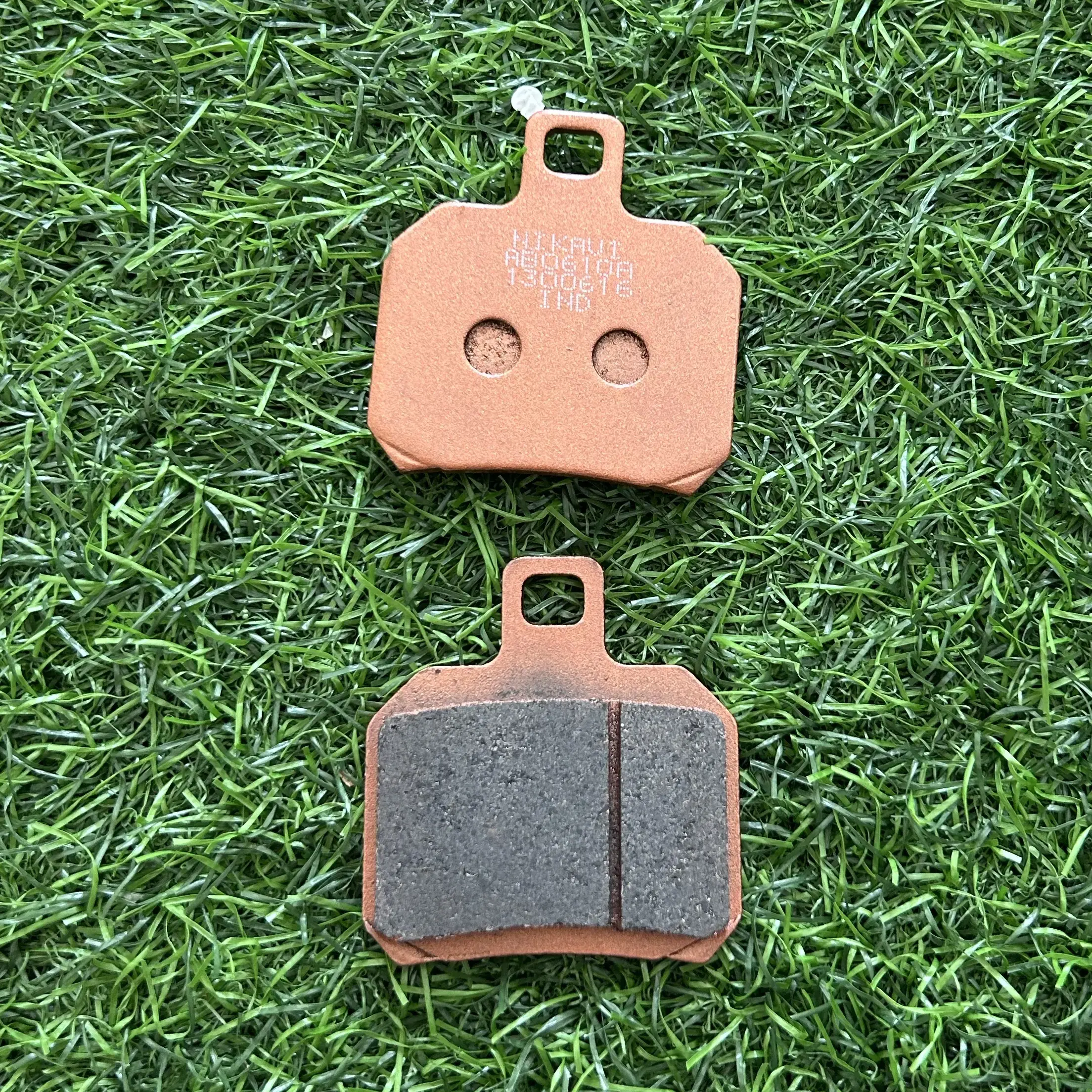 Benelli tnt600 600i rear brake pads