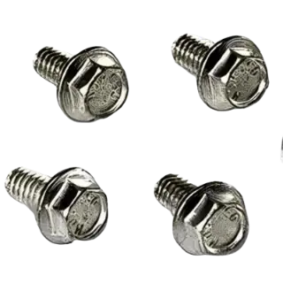 Chain Cover Bolts Standard Passion Plus - Genuine