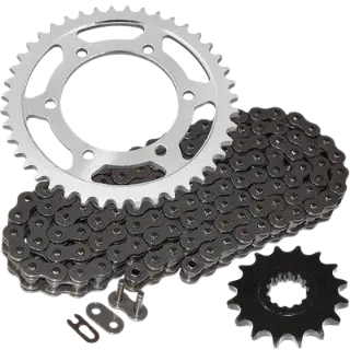 Chain Kit Standard Karizma - Genuine