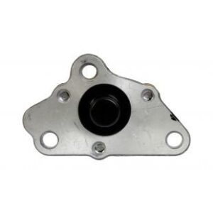motoheal.com