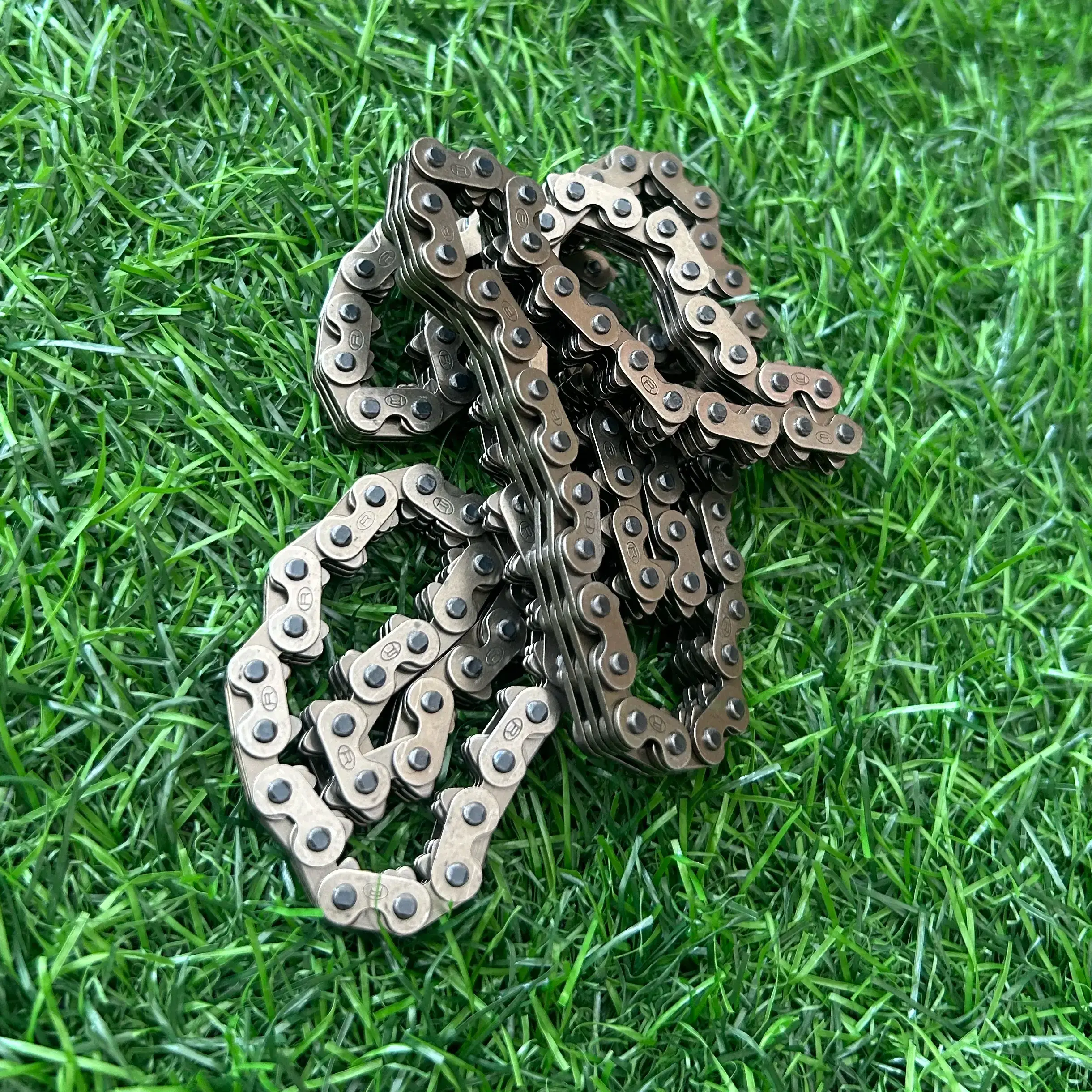 Kawasaki Ninja 300 Timing Chain