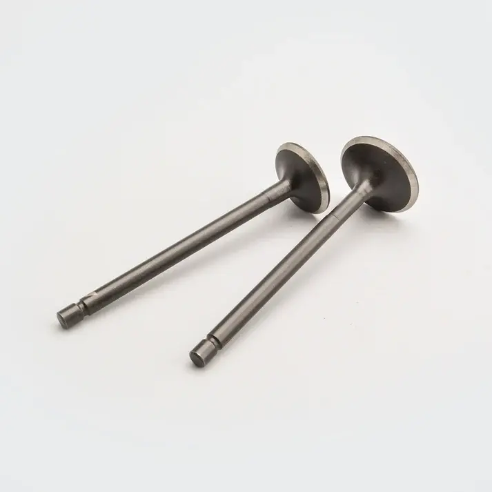 Valve Set Fiero/fiero F2/fiero Fx/apache/wego/jupiter - Image 2
