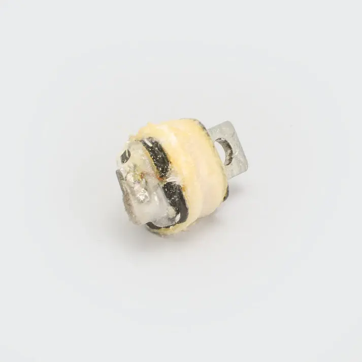 Coil Pickup Xl Super/powerport/champ - Image 2