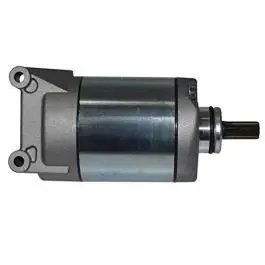Self Starter Motor Assembly Compatible For Hero Karizma -old Model