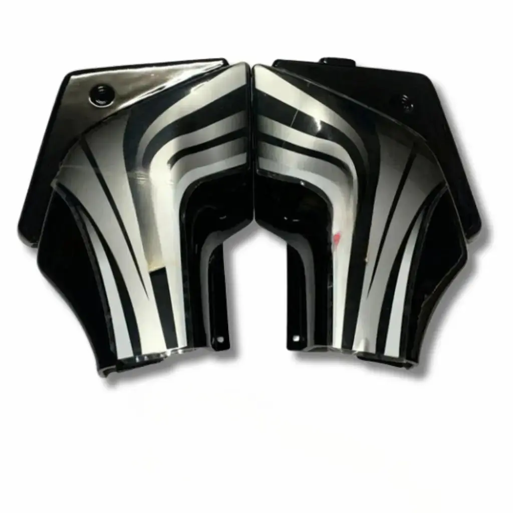 Side Panel For Hero Passion Pro | Type 1 | Black & Grey Colour