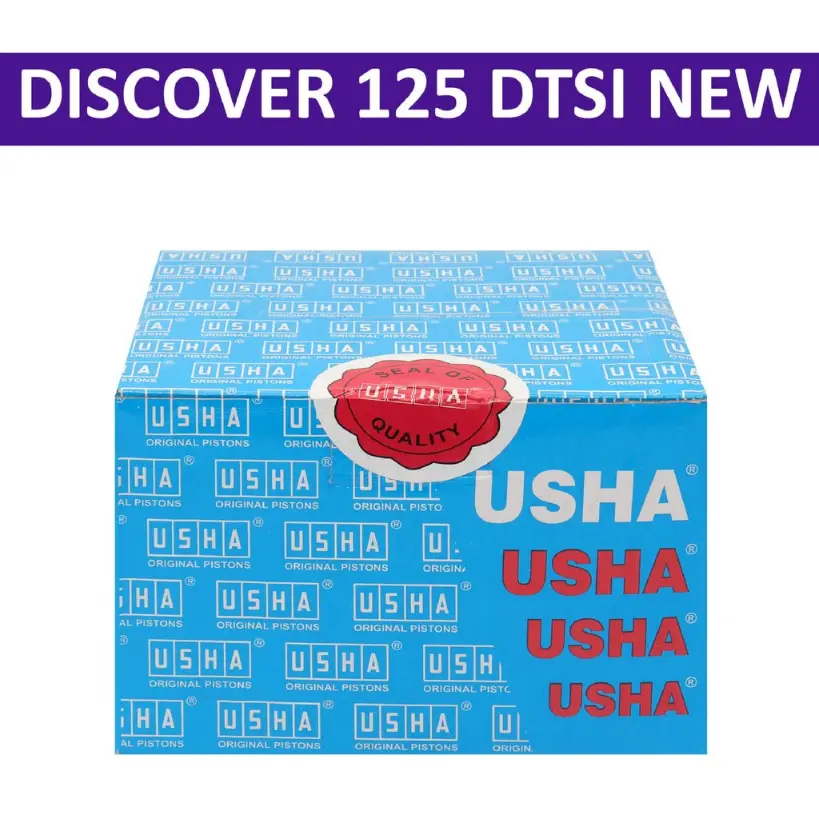 Usha Cylinder Kit For Discover 125 Dtsi New