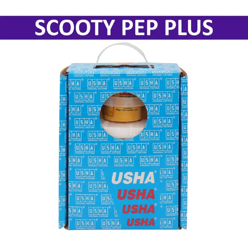 Usha Cylinder Kit For Scooty Pep Plus